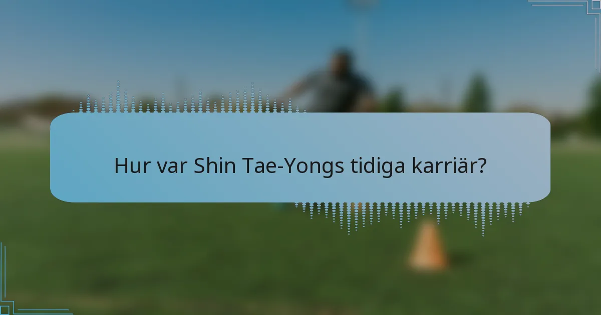 Hur var Shin Tae-Yongs tidiga karriär?