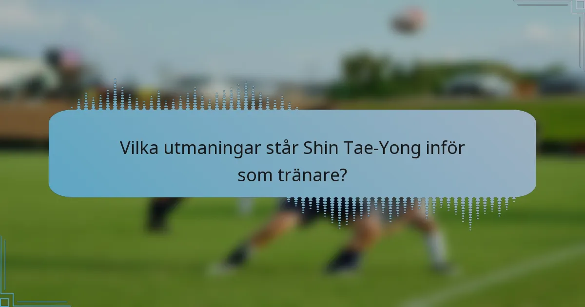 Vilka utmaningar står Shin Tae-Yong inför som tränare?